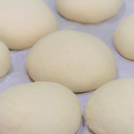 A group of shaped dough buns on baking parchment, left to rise before cooking.