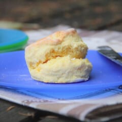 A single, cylindrical baked pumpkin scone, golden brown on top, sitting on a blue plate next to a butter knife.