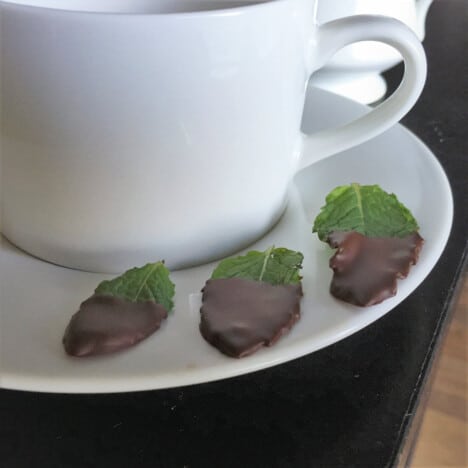 A white teacup sitting on its saucer next to three finished fresh after dinner chocolate mints.