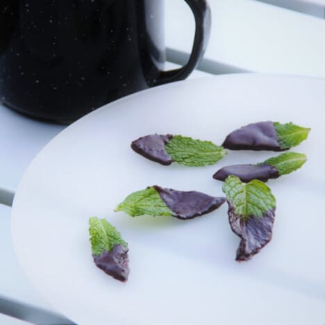 Close up of several fresh, green mint leaves sitting on a white plate next to a black coffee mug.