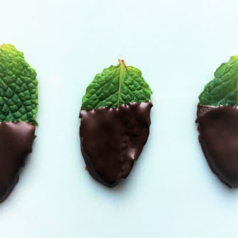 Close up of three fresh, green mint leaves in a line, the lower half of each leaf dipped in shiny dark chocolate.