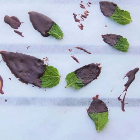 A piece of baking paper with half chocolate covered mint leaves and splatters of chocolate.