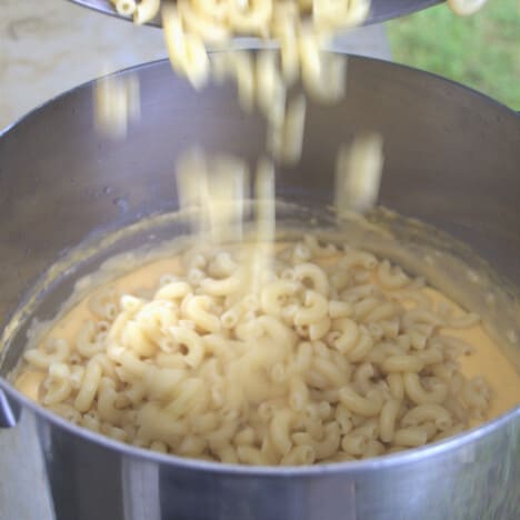 Cooked pasta being poured into a pot of béchamel sauce.
