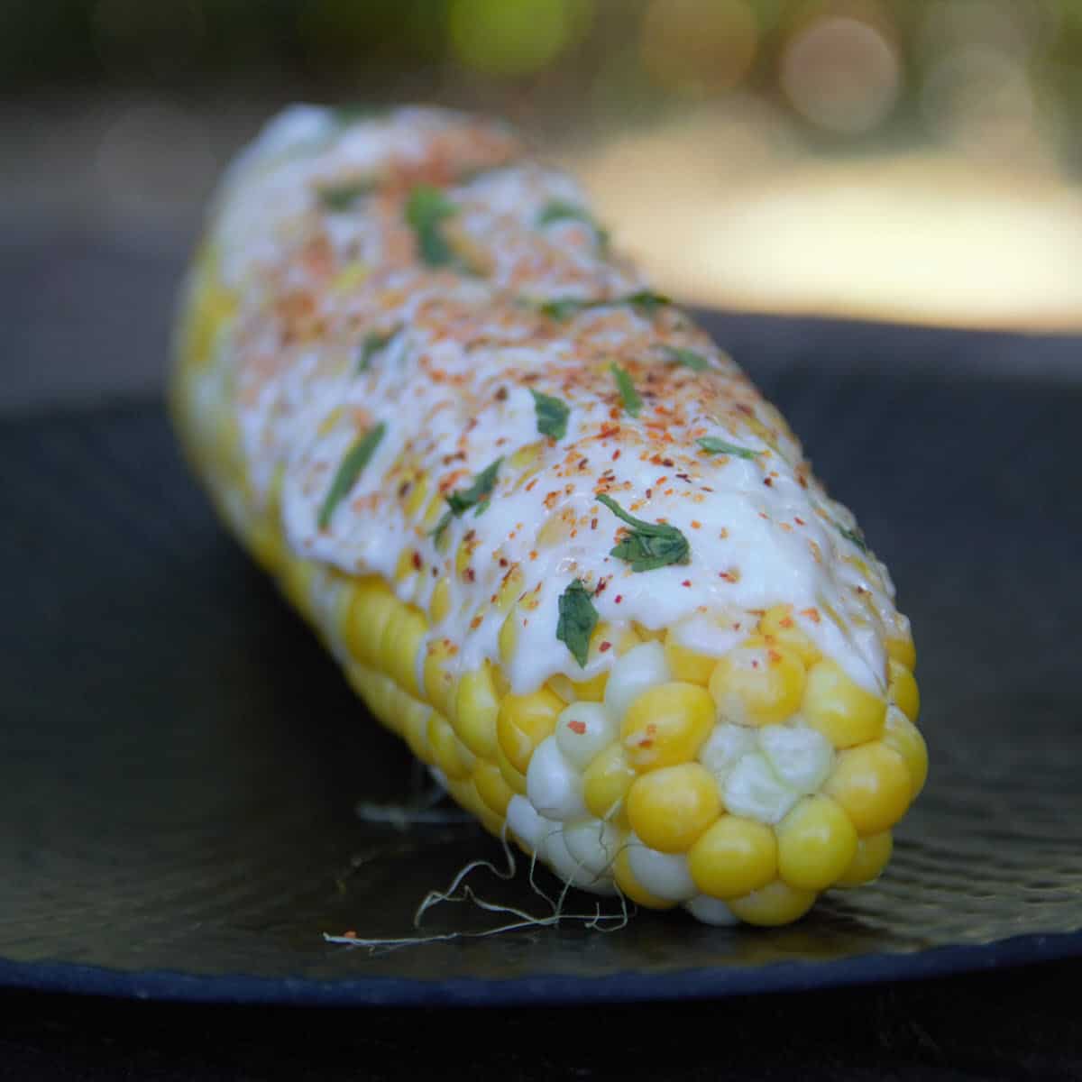 Grilled Elote (Mexican Street Corn) | Bush Cooking