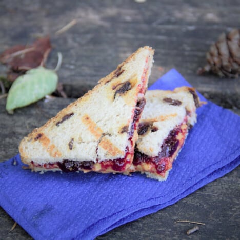 Looking down on a grilled peanut butter and jelly sandwich cut into triangles on a blue napkin.