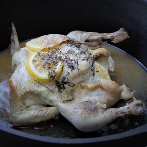 Cooked and very tender fall-off-the-bone lemon and thyme roast chicken still in the Dutch oven.