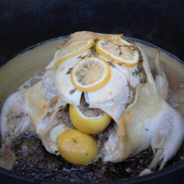 The whole lemon thyme chicken ready to eat but still sitting in the Dutch oven.