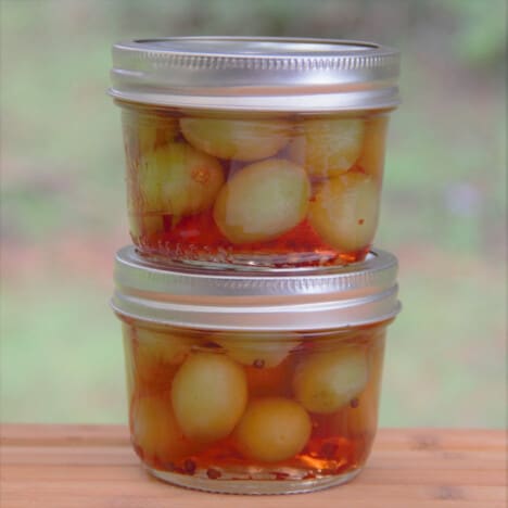 Two jars filled with quick pickle grapes stacked on each other.