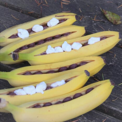 Bananas filled with chocolate and marshmallows getting ready to be put in the campfire.