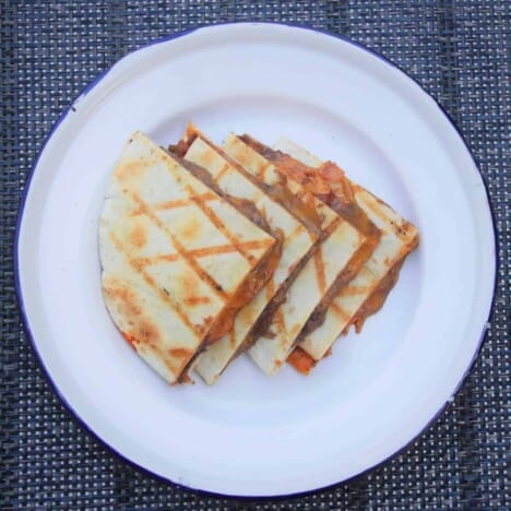 Looking down on a serving of one quesadilla quartered then laid out on a camp plate.