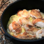 Looking into a Dutch oven with browned chicken pieces and lemon slices.