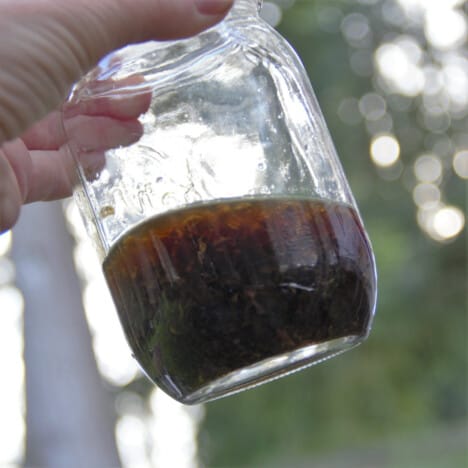 A jar of homemade mint sauce being held up.