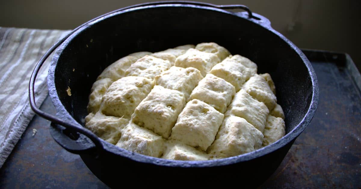 Ginger Beer Scones | Bush Cooking
