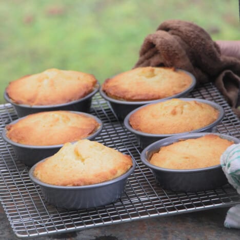 A baking rack holding mini pineapple cakes being placed down on a bench.