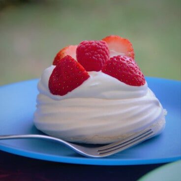 A single small pavlova topped with cream and berries on a blue camping plate.