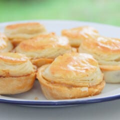 A plate of golden brown meat pies.