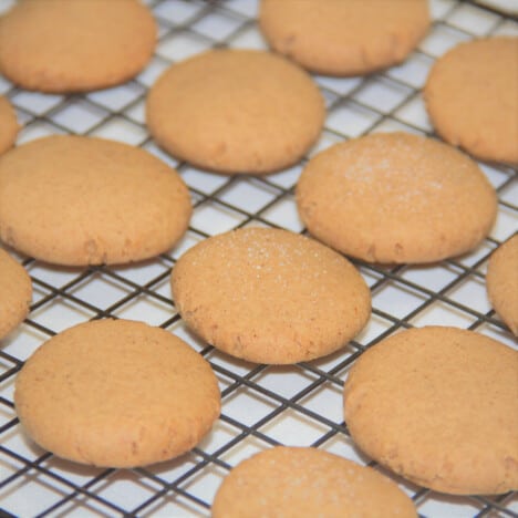 Looking down onto rows of baked ginger snaps on a cooling rack.