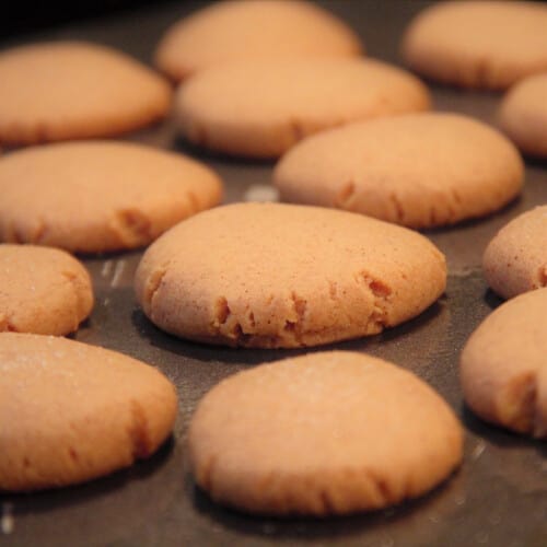 Ginger Snaps Bush Cooking