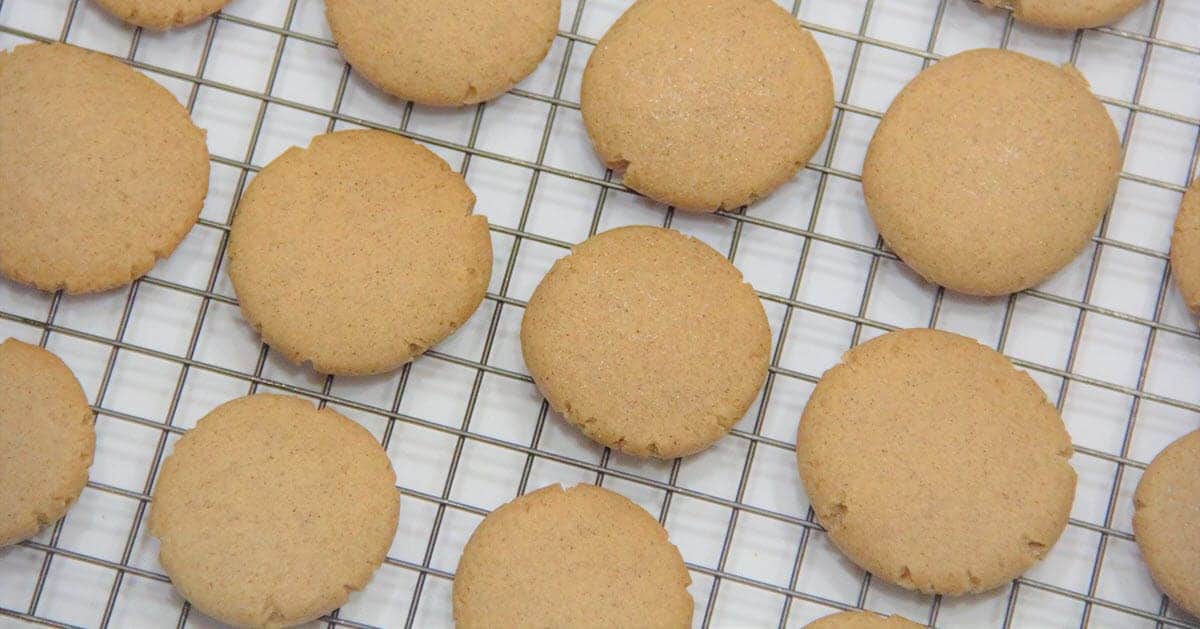 Ginger Snaps | Bush Cooking