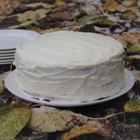A whole frosted hummingbird cake sits on a white plate in a pile of leaves.