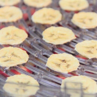 Dehydrated bananas are lined up on a dehydrator rack.