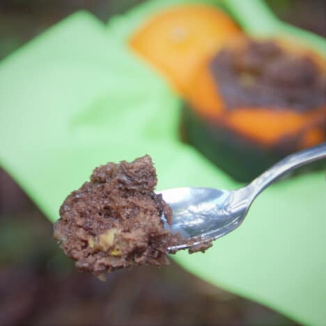 A spoon of chocolate cake removed from an orange in the background.