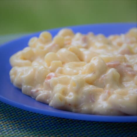 Close up of Mac and Cheese served on a blue camp plate.
