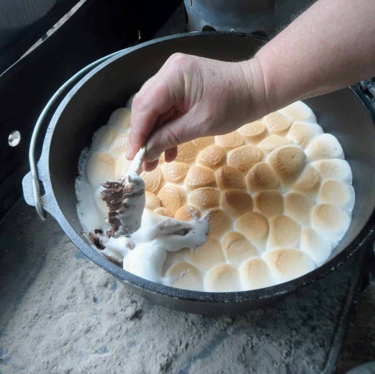 https://bushcooking.com/wp-content/uploads/2018/03/DO-Smores.jpg