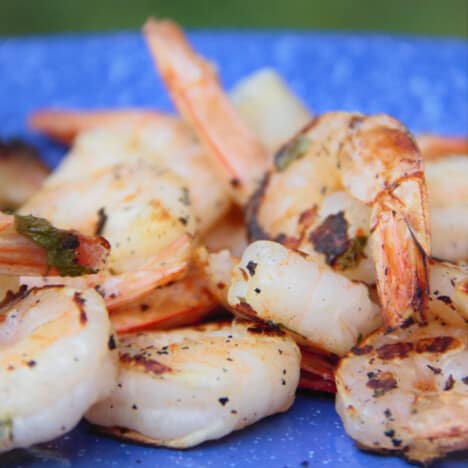 A pile of perfectly pink grilled shrimp on a blue camp plate.