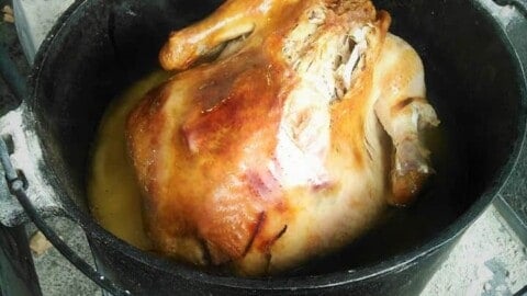 Dutch Oven Roasted Turkey