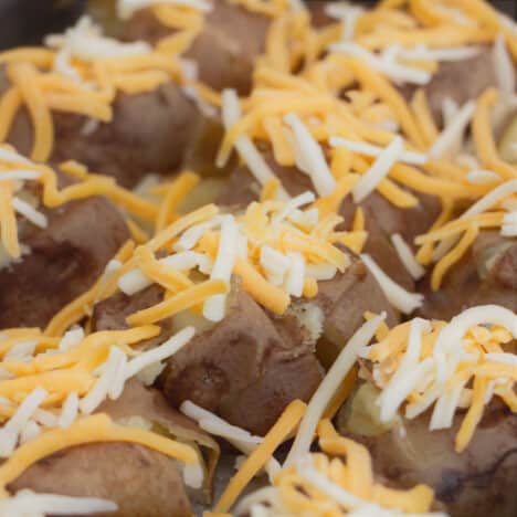 A tray of skin on potatoes smashed on a baking tray topped with shredded cheese.