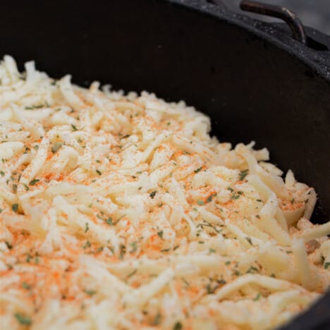 Close up of grated cheese topped with dried parsley, and paprika.