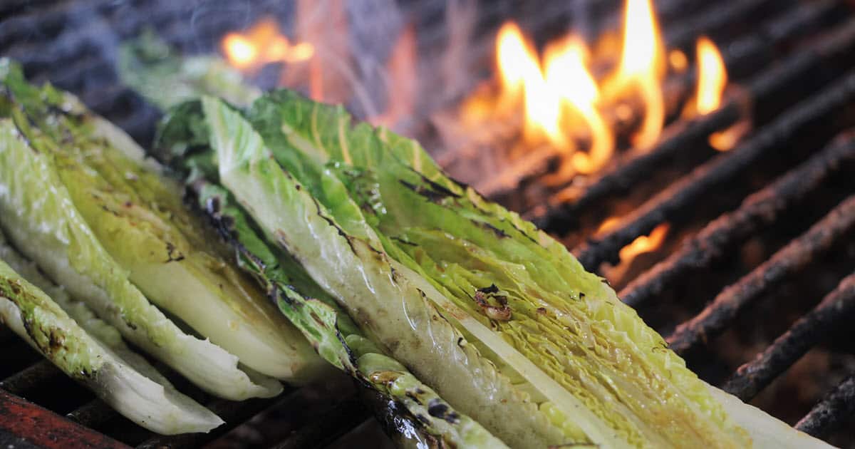 Grilled Romaine Salad | Bush Cooking