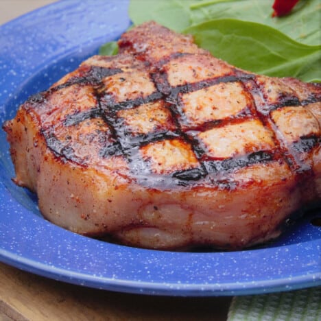 A finished grilled pork sits on a blue camping plate with a green salad.