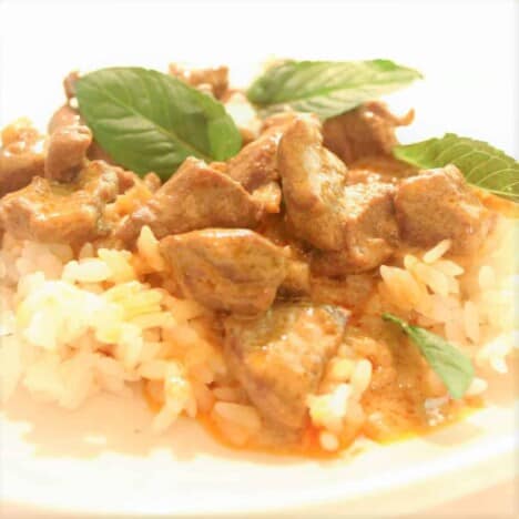 Venison Red Curry | Bush Cooking