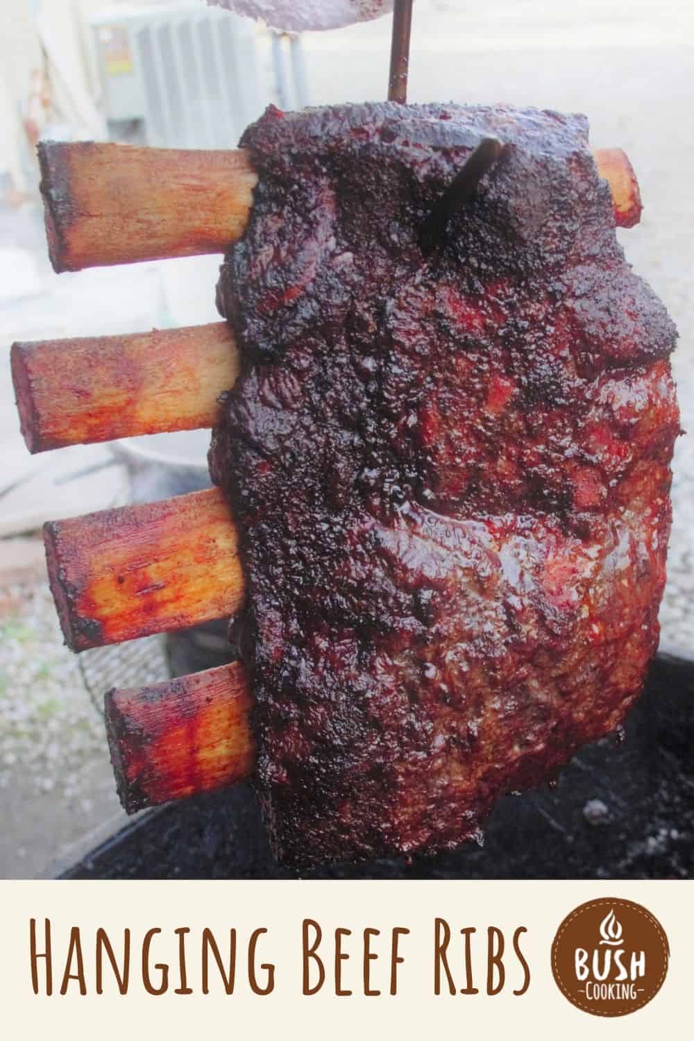 Ribs hanging on [homemade] meat hooks in my PitBoss. Couldn't find