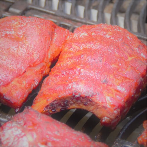 Pork Rib Roll Bush Cooking