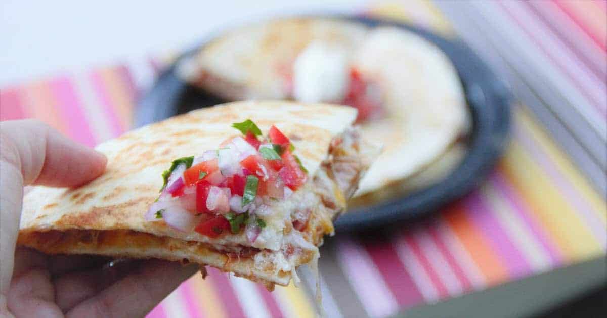 Pulled Pork Quesadilla | Bush Cooking