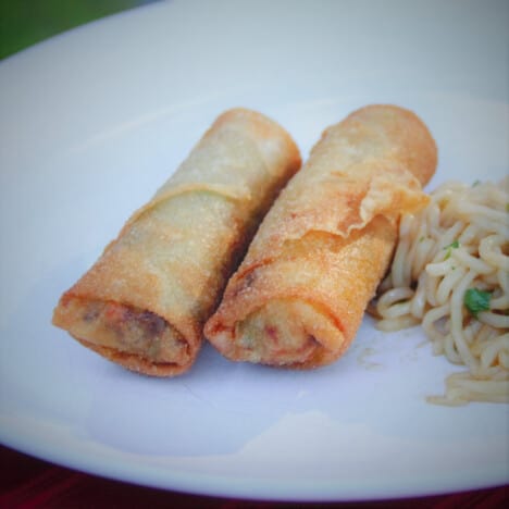 Two deep-fried, golden brown spring rolls sit on a white serving plate.