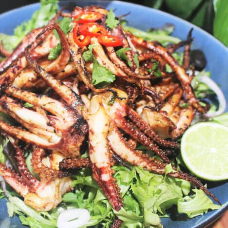 Char grilled squid is served on a simple green salad.