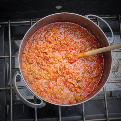 A large pot of Bolognese Sauce simmering on a gas stove while camping.