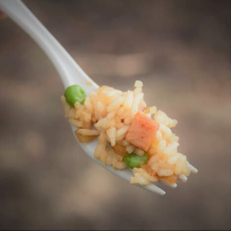 A fork serving of spam fried rice.