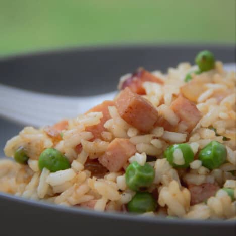 Close up of Spam fried rice on a camp plate ready to eat.