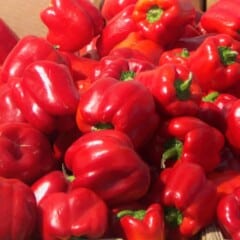A pile of Red Bell Peppers