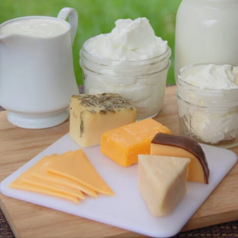 A range of dairy products ready for use