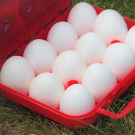 Eggs in a camp storage box