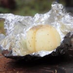Looking into a piece of foil with a cooked campfire onion.