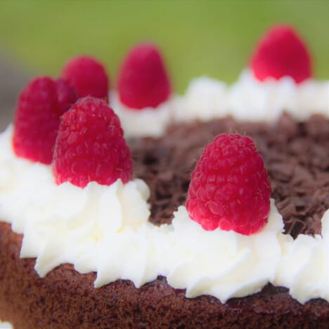 Fresh raspberries sit on top of pipped whipped cream on a chocolate cake.
