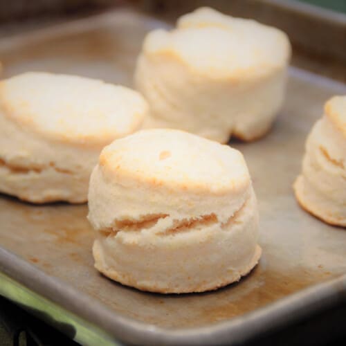 Dutch Oven Buttermilk Biscuits Bush Cooking