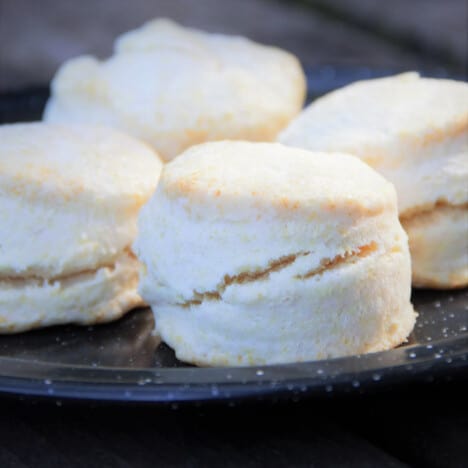 Pale golden brown baked biscuits sit on a black camping plate.